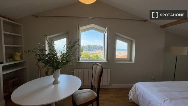 Chambre à louer dans un appartement de 4 chambres à Donostia