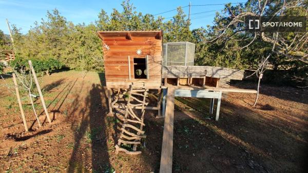 Estudio en Palmanyola