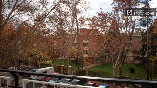 Room for rent in 4-bedroom apartment in Alcalá de Henares