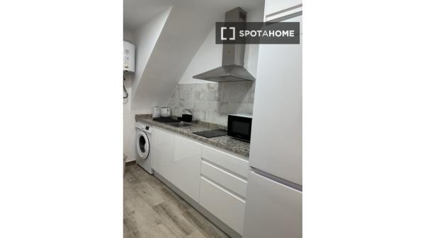 Apartamento entero de 1 dormitorio en Sevilla