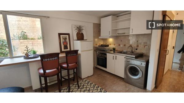 Apartamento de 1 dormitorio en alquiler en Mallorca