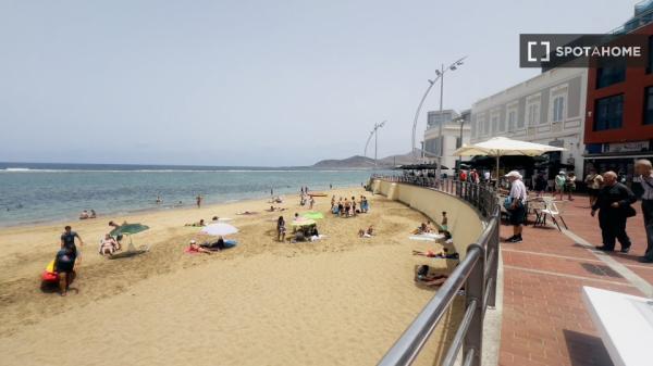 Estudio en Las Palmas de Gran Canaria