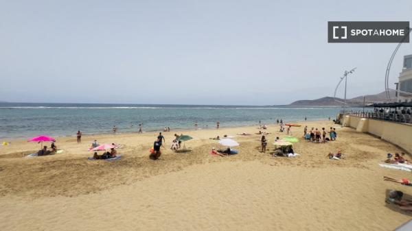 Estudio en Las Palmas de Gran Canaria