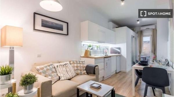 Apartamento entero de 1 habitaciones en Madrid