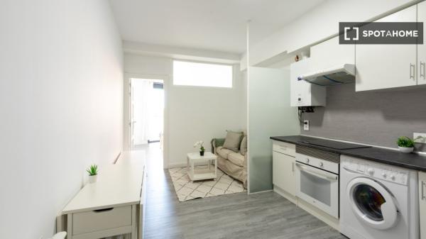 Apartamento entero de 1 habitaciones en Madrid