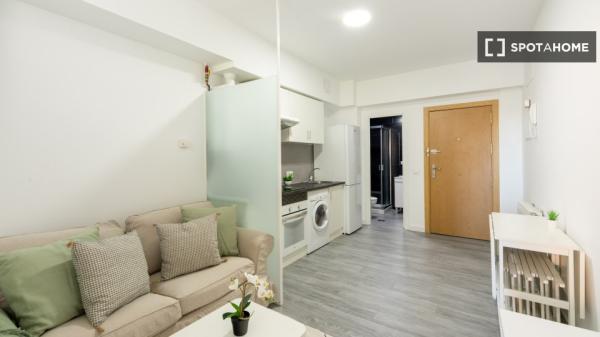 Apartamento entero de 1 habitaciones en Madrid