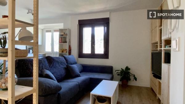 Apartamento entero de 1 dormitorio en Donostia