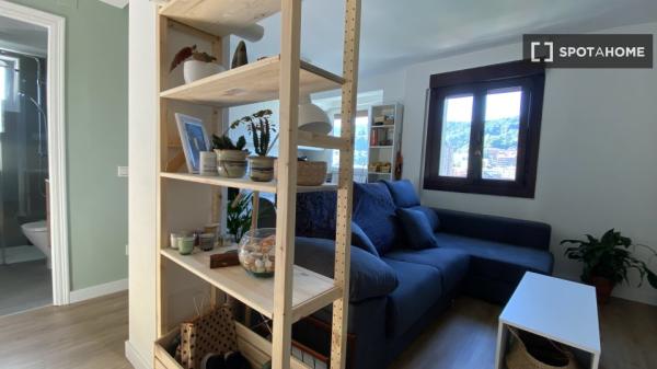 Apartamento entero de 1 dormitorio en Donostia