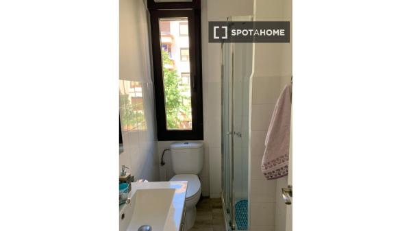 Room for rent in shared apartment in Bilbao