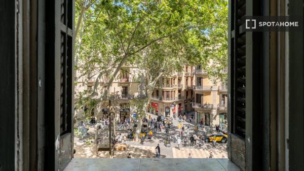 Se alquila habitación en piso de 7 habitaciones en Barcelona