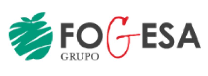 Grupo Fogesa