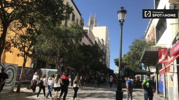 Habitación amueblada en apartamento de 6 dormitorios en Centro, Madrid