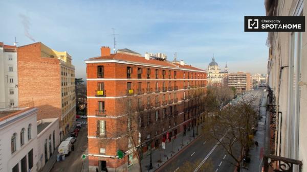 Habitación amueblada en un apartamento de 8 dormitorios en La Latina, Madrid