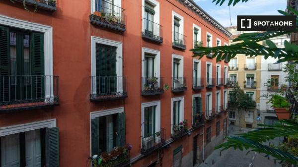 Piso entero de 2 dormitorios en madrid.