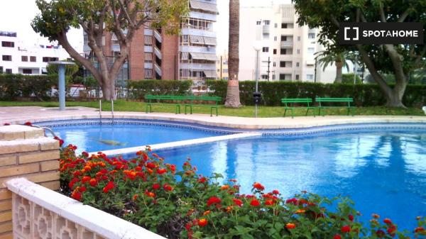 Piso de 3 habitaciones en alquiler en El Campello, Alicante