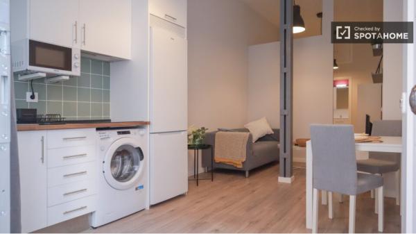 Apartamento de 1 dormitorio en alquiler en Puerta del Angel, Madrid