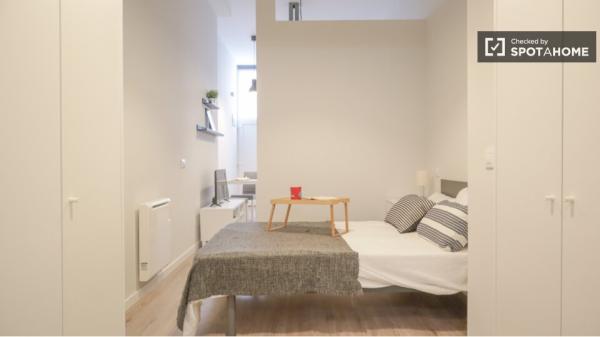 Apartamento de 1 dormitorio en alquiler en Puerta del Angel, Madrid