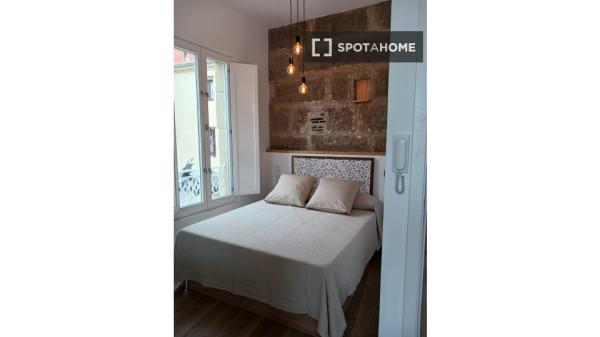 Apartamento estudio en alquiler en Casco Vello, Vigo