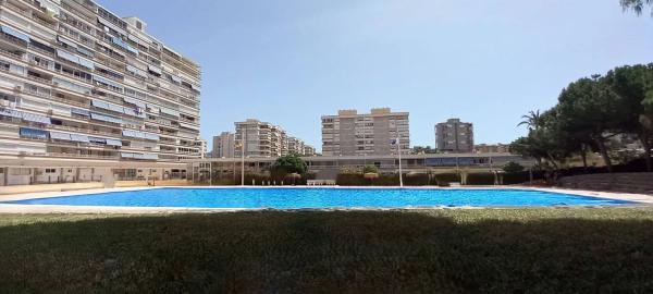 Estudio en avenida Benidorm