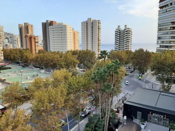 Estudio en Playa de Levante