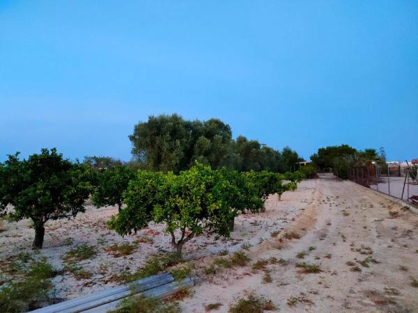 Casa independiente en Partida el Rellero, 1 a