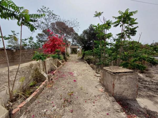 Casa independiente en Almisera