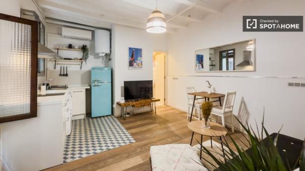 Apartamento de 1 dormitorio en alquiler en Barceloneta