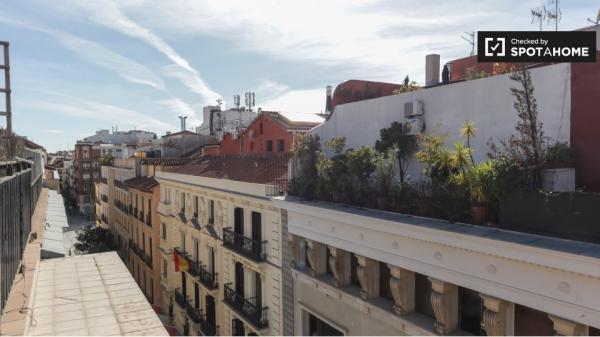 Apartamento de 1 dormitorio en alquiler en Sol, Madrid