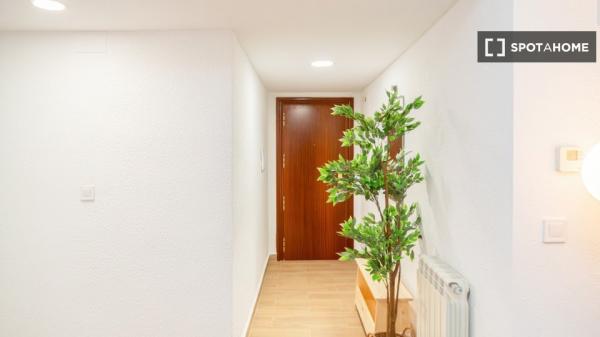 Appartement partagé à Saragosse