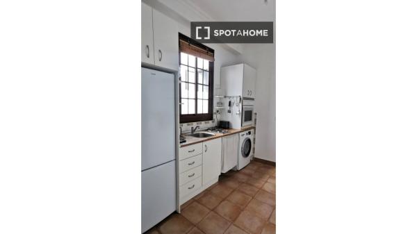 Apartamento entero de 1 dormitorio en Sevilla