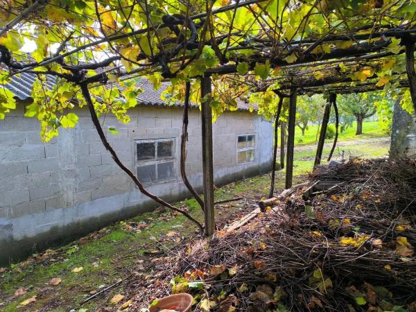 Casa independiente en Laranxos