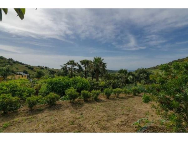 Casa independiente en Pista Colada de los Molinos a e