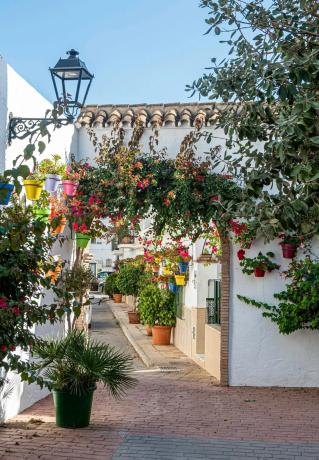 Piso en calle Jaen