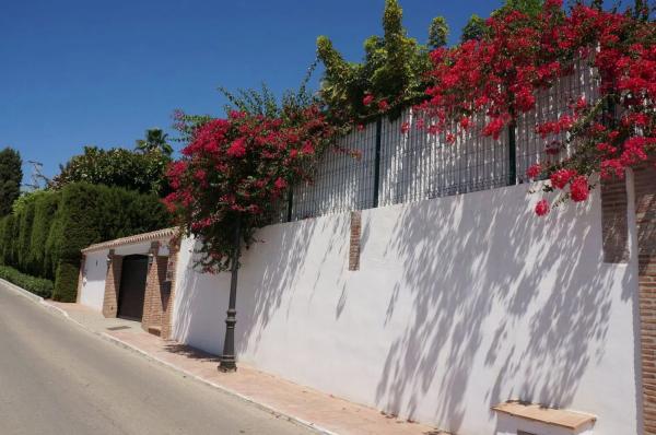 Casa independiente en calle Hortensia