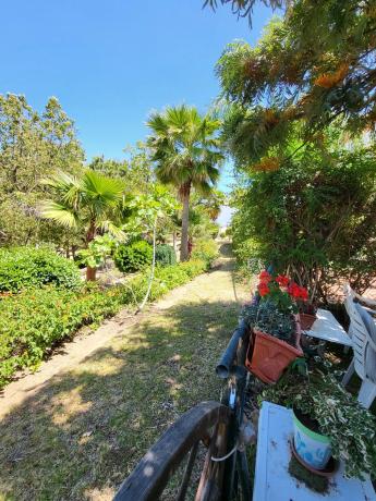 Chalet adosado en avenida Mar Baltico