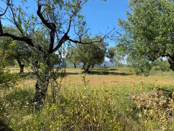 Casa independiente en pd. Alqueries de Benifloret, 23