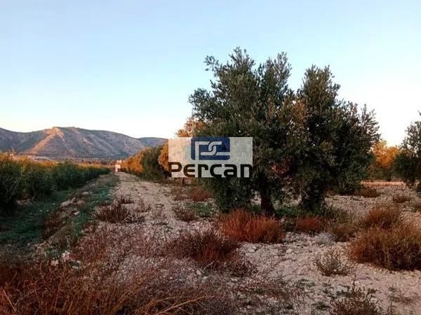 Terreno en Paraje las Tiesas