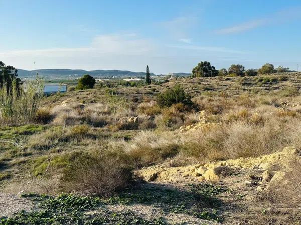 Terreno en carretera Bacarot