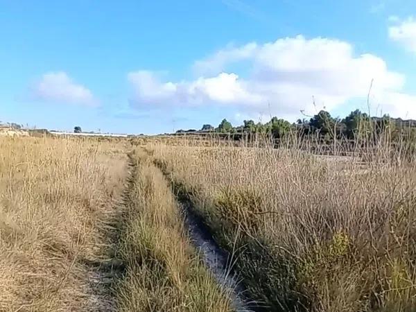 Terreno en Teulada