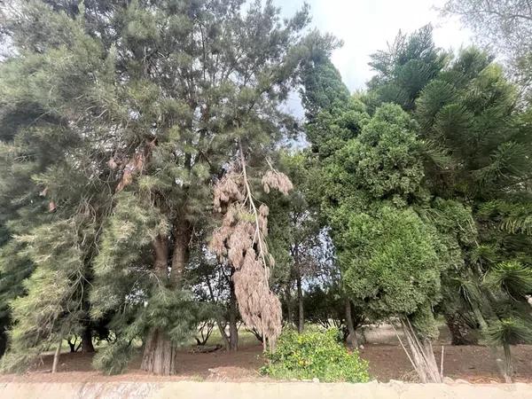 Terreno en Verada de Las Cebadas, 166