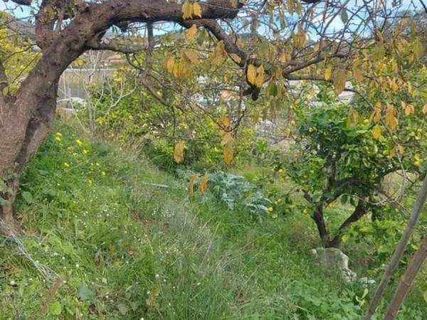 Terreno en Callosa d'En Sarria