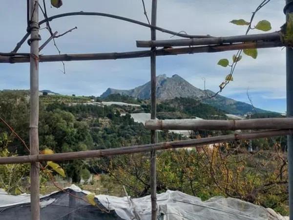 Terreno en Callosa d'En Sarria