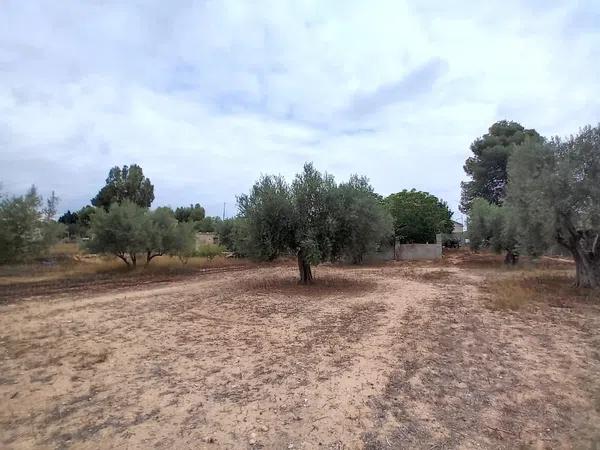 Terreno en vereda Virgen del Camino, 1