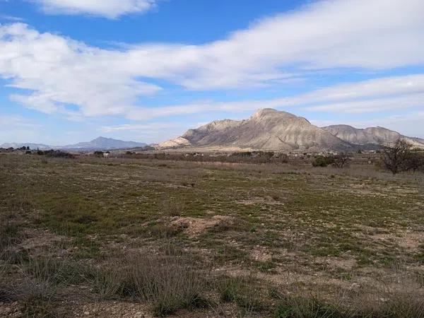 Terreno en Molins-Campaneta-San Bartolomé