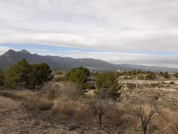 Terreno en Castillo, 78