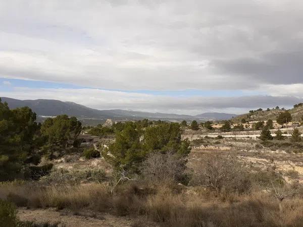 Terreno en Castillo, 78