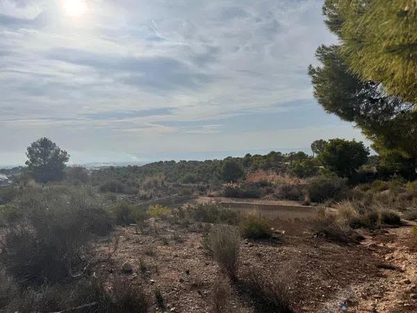 Terreno en Crevillente