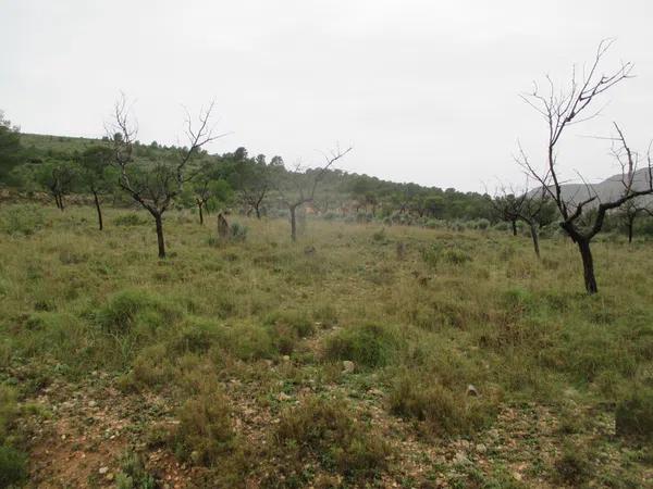 Terreno en Partida los Calores