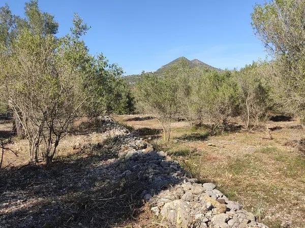 Terreno en Alcalalí