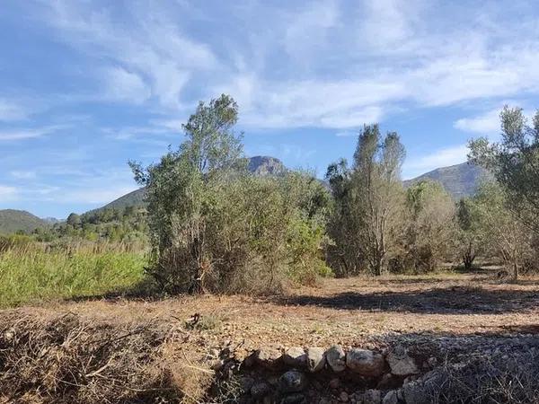 Terreno en Alcalalí